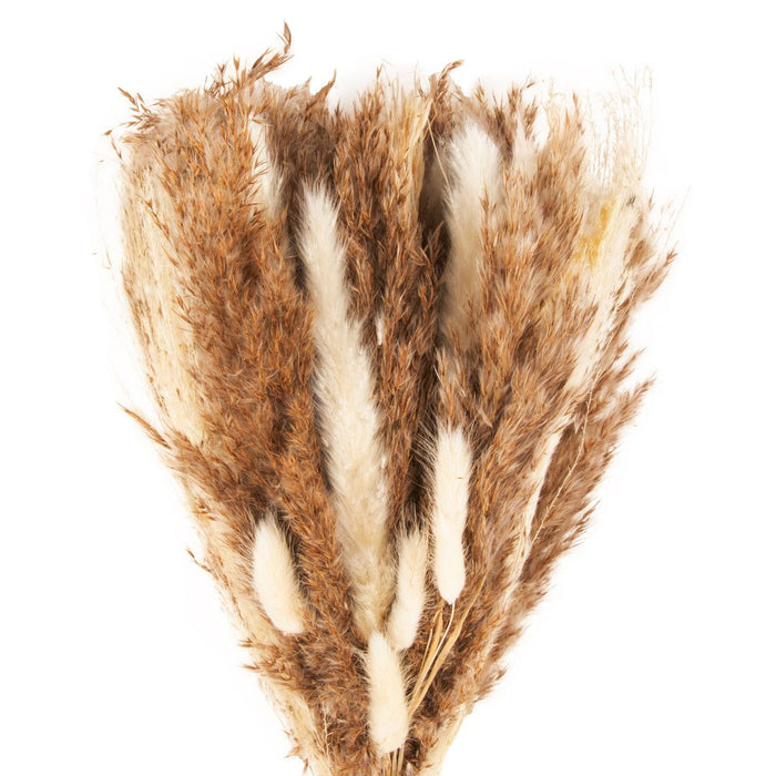 Bulk 18” Natural Dried Pampas Grass Bouquet-Koyal Wholesale-Natural-Set of 1-