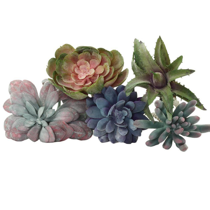 Artificial Succulents Decor Assorted Mix-Set of 5-Koyal Wholesale-