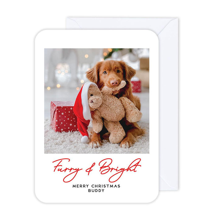 Custom Pet Holiday Christmas Cards with Envelopes, Holiday Photo Greeting Cards-Set of 24-Andaz Press-Furry & Bright Merry Christmas-