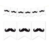 Pennant Party Banner Mustache-Set of 1-Andaz Press-Black-