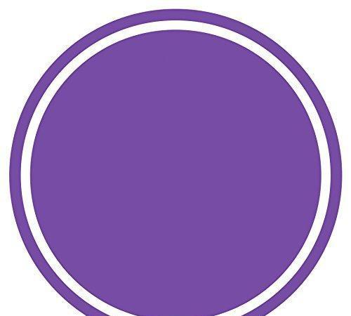 Solid Color Circle Gift Labels-Set of 40-Andaz Press-Purple-