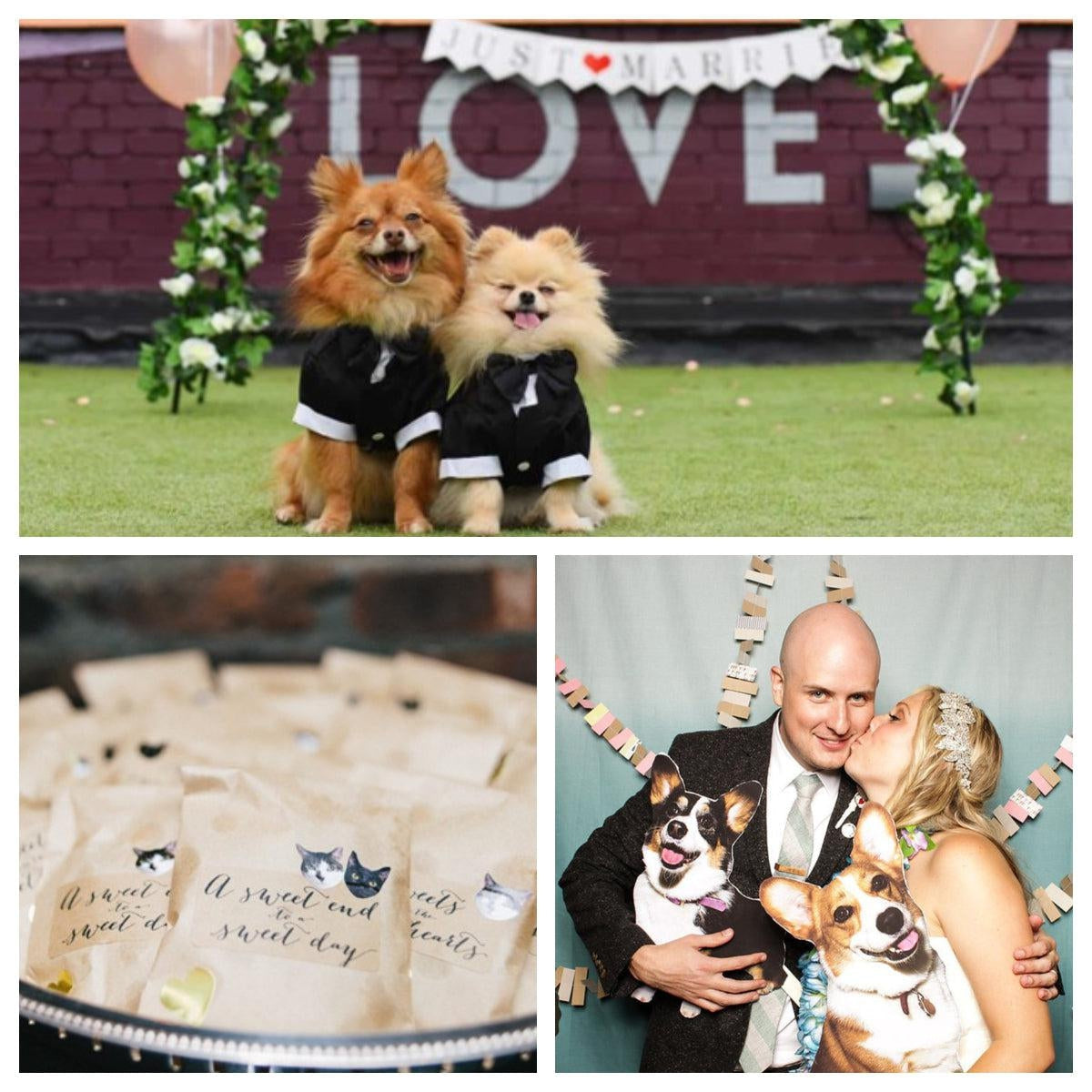 2022 Pet Weddings Decor Ideas-Koyal Wholesale