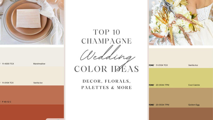 Top 10 Champagne Wedding Color Combination Ideas-Koyal Wholesale