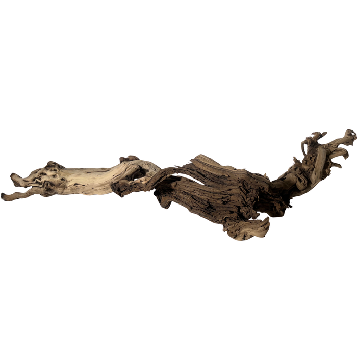 Exotic Grapevine Branch, Set of 1