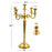 5-Arm Metal Candelabra Candle Holder Centerpiece-Set of 1-Koyal Wholesale-Gold-12"-