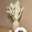 80 Pieces Bulk 18” Natural Dried Pampas Grass Bouquet-Koyal Wholesale-Natural-Set of 24-