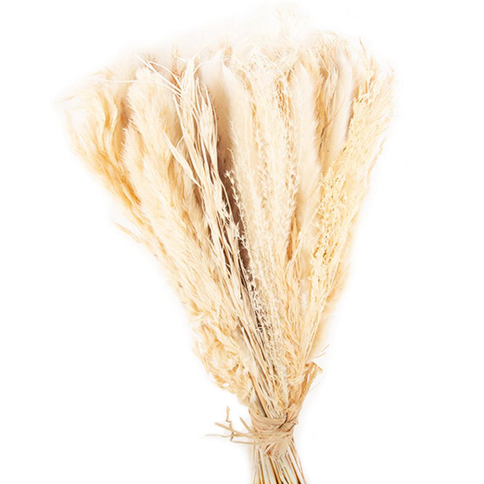 80 Pieces Bulk 18” Natural Dried Pampas Grass Bouquet-Koyal Wholesale-White-Set of 1-
