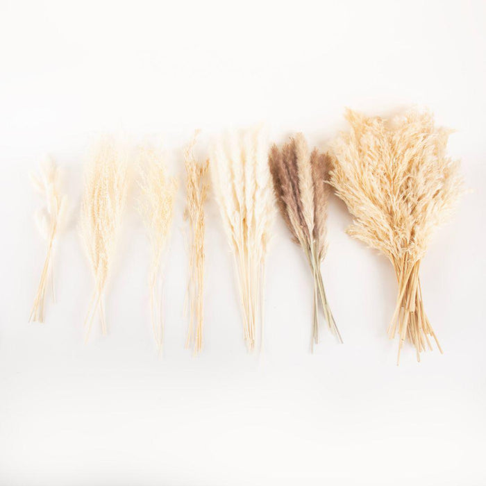 Bulk 18” Natural Dried Pampas Grass Bouquet-Koyal Wholesale-Natural-Set of 24-