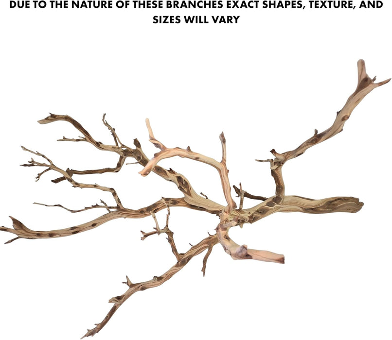 California Driftwood Branch, Set of 1-Set of 1-Koyal Wholesale-2.2 LB Bag-