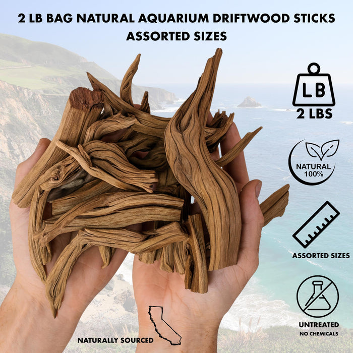 California Driftwood Branch, Set of 1-Set of 1-Koyal Wholesale-12"-