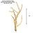 Cholla Cactus Wood Branch-Set of 1-Koyal Wholesale-36"-