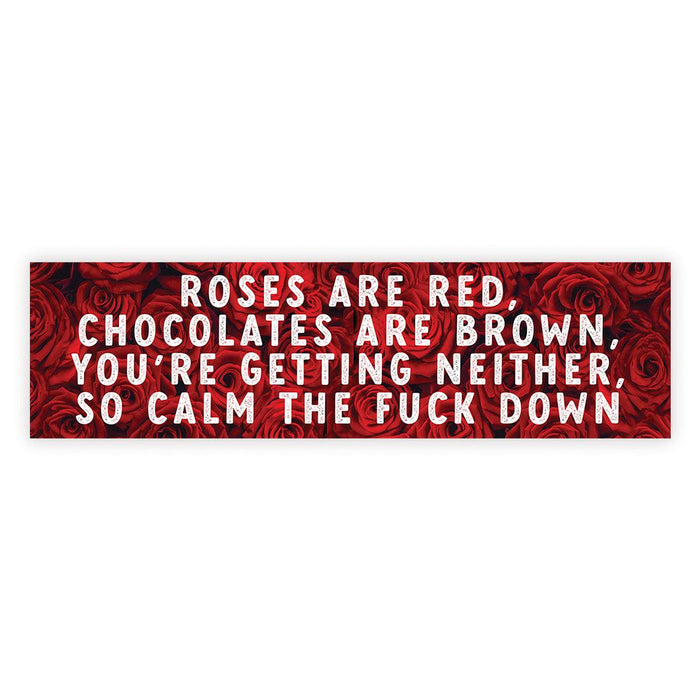 Galentine's Day Decorations Banner | Funny & Sarcastic Anti-Valentine's Day Decor, Set of 1-Set of 1-Andaz Press-If I Had Feelings-