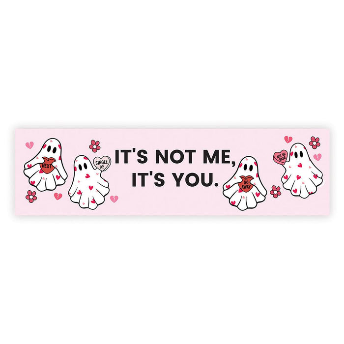 Galentine's Day Decorations Banner | Funny & Sarcastic Anti-Valentine's Day Decor, Set of 1-Set of 1-Andaz Press-It's Not Me It's You-