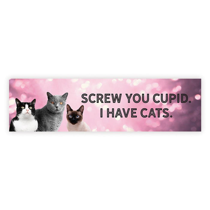 Galentine's Day Decorations Banner | Funny & Sarcastic Anti-Valentine's Day Decor, Set of 1-Set of 1-Andaz Press-Screw you Cupid I Have Cats-