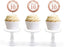 Glitzy Faux Rose Gold Glitter Round DIY Cupcake Toppers Cheers to 10 Years-Set of 20-Andaz Press-