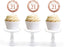 Glitzy Faux Rose Gold Glitter Round DIY Cupcake Toppers Cheers to 21 Years-Set of 20-Andaz Press-