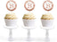 Glitzy Faux Rose Gold Glitter Round DIY Cupcake Toppers Cheers to 25 Years-Set of 20-Andaz Press-