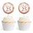 Glitzy Faux Rose Gold Glitter Round DIY Cupcake Toppers Cheers to 25 Years-Set of 20-Andaz Press-