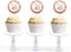 Glitzy Faux Rose Gold Glitter Round DIY Cupcake Toppers Cheers to 40 Years-Set of 20-Andaz Press-