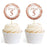 Glitzy Faux Rose Gold Glitter Round DIY Cupcake Toppers Cheers to 5 Years-Set of 20-Andaz Press-