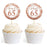 Glitzy Faux Rose Gold Glitter Round DIY Cupcake Toppers Cheers to 65 Years-Set of 20-Andaz Press-