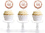Glitzy Faux Rose Gold Glitter Round DIY Cupcake Toppers Cheers to 90 Years-Set of 20-Andaz Press-