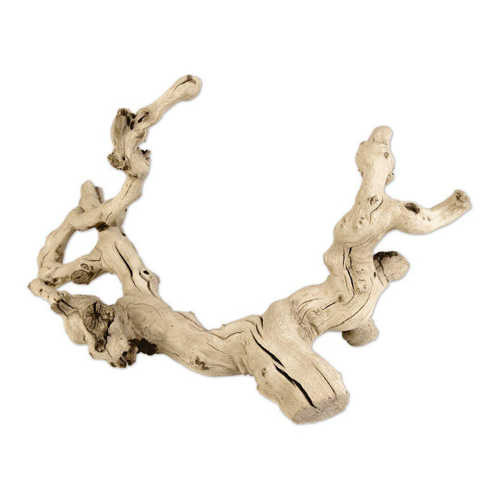 Grapewood Branch, Set of 1-Set of 1-Koyal Wholesale-6"-