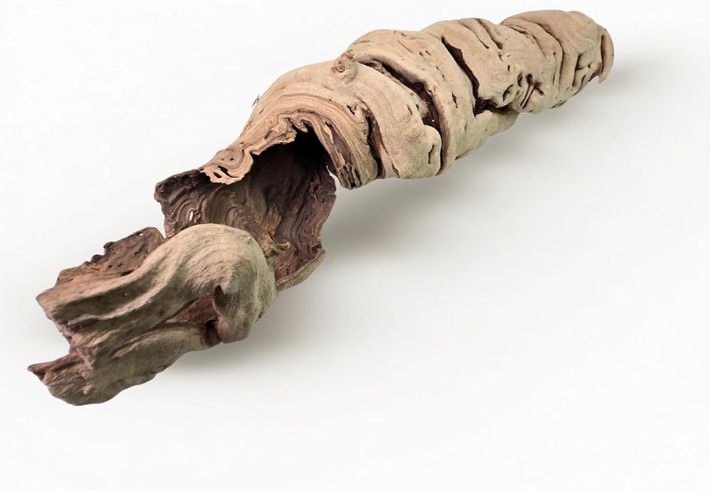 Hollow Grapewood Branch Centerpiece Vase-Set of 1-Koyal Wholesale-24"-