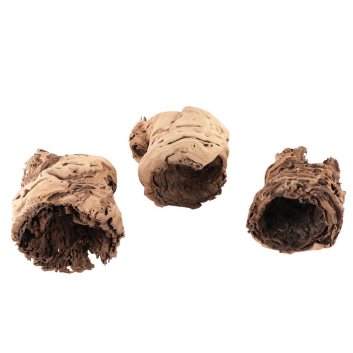 Hollow Grapewood Branch Centerpiece Vase-Set of 1-Koyal Wholesale-