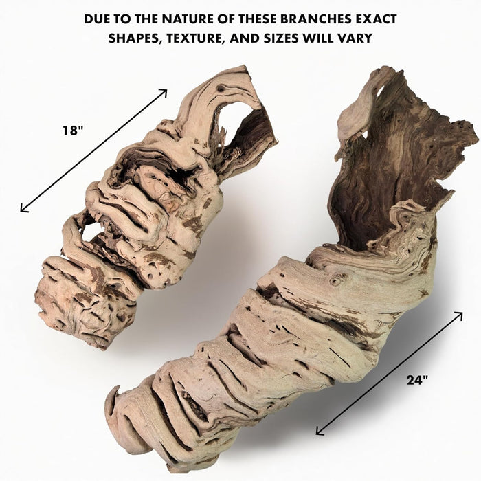 Hollow Grapewood Branch Centerpiece Vase-Set of 1-Koyal Wholesale-10"-
