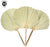 Set of 12 Dried Palm Fans, Natural Wedding Home Décor, 12-16"-Set of 12-Koyal Wholesale-