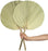 Set of 12 Dried Palm Fans, Natural Wedding Home Décor, 12-16"-Set of 12-Koyal Wholesale-