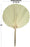 Set of 12 Dried Palm Fans, Natural Wedding Home Décor, 12-16"-Set of 12-Koyal Wholesale-