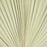 Set of 12 Dried Palm Fans, Natural Wedding Home Décor, 12-16"-Set of 12-Koyal Wholesale-