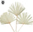 Set of 12 Dried Palm Leaves, Natural Wedding Decor, 10-16.5”-Set of 12-Koyal Wholesale-