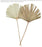 Set of 12 Dried Palm Leaves, Natural Wedding Decor, 10-16.5”-Set of 12-Koyal Wholesale-