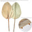 Set of 12 Dried Palm Spears, Natural Wedding Home Décor, 12-16"-Set of 12-Koyal Wholesale-