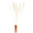 Set of 24 Extra Large Tall Preserved 55” Pampas Grass-Set of 24-Koyal Wholesale-Natural-51-55"-