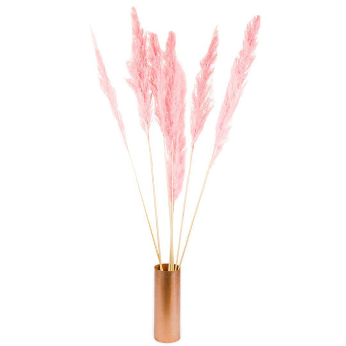 Set of 24 Extra Large Tall Preserved 55” Pampas Grass-Set of 24-Koyal Wholesale-Natural-51-55"-