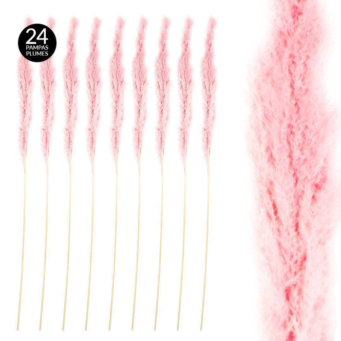Set of 24 Extra Large Tall Preserved 55” Pampas Grass-Set of 24-Koyal Wholesale-Pink-51-55"-