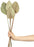 Set of 36 Dried Palm Spears, Natural Wedding Home Décor, 4-5"-Set of 36-Koyal Wholesale-