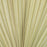 Set of 36 Dried Palm Spears, Natural Wedding Home Décor, 6-8"-Set of 36-Koyal Wholesale-