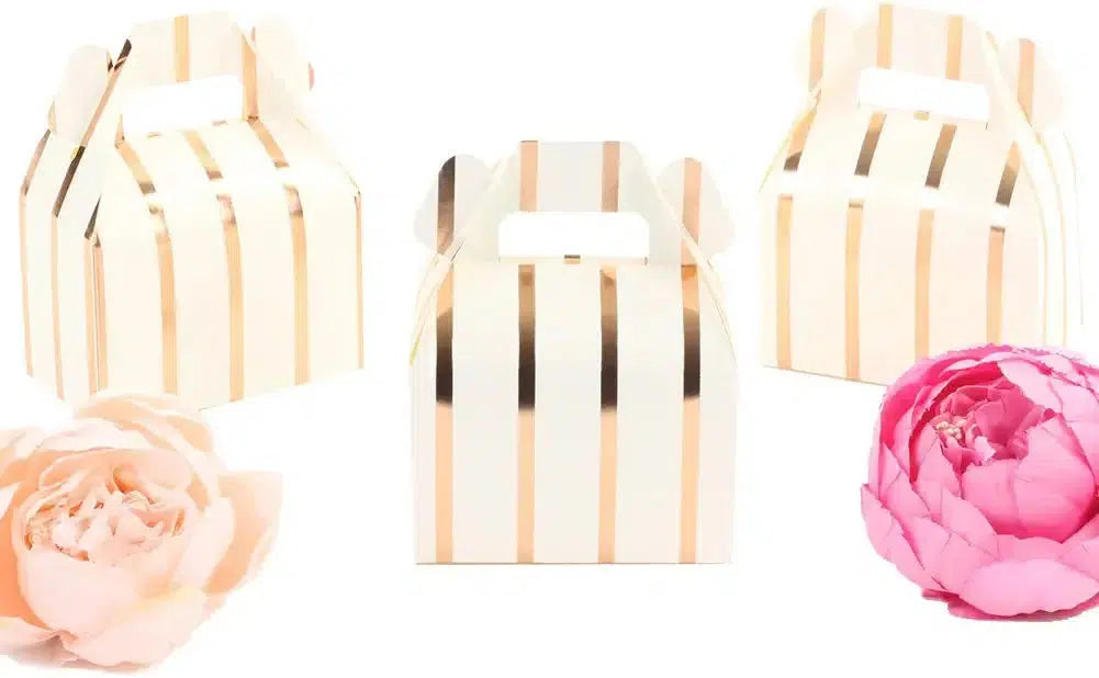 Set of 36 Striped Gable Favor Box-Set of 36-Andaz Press-