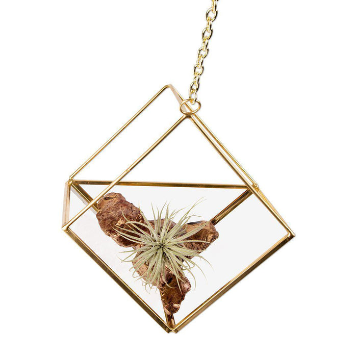 Set of 6 Assorted Geometric Metal Hanging Air Planters-Set of 6-Koyal Wholesale-