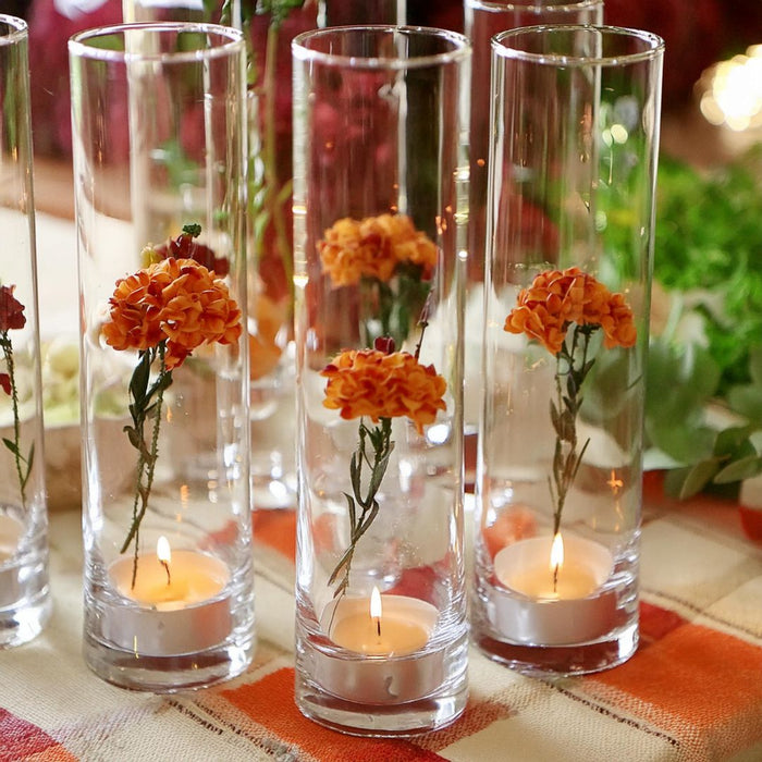 Set of 6 Mini Glass Cylinder Vases-Set of 6-Koyal Wholesale-
