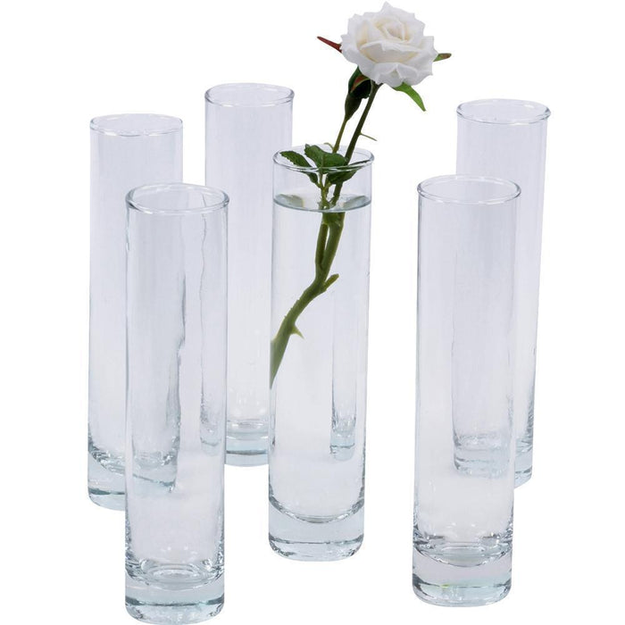 Set of 6 Mini Glass Cylinder Vases-Set of 6-Koyal Wholesale-