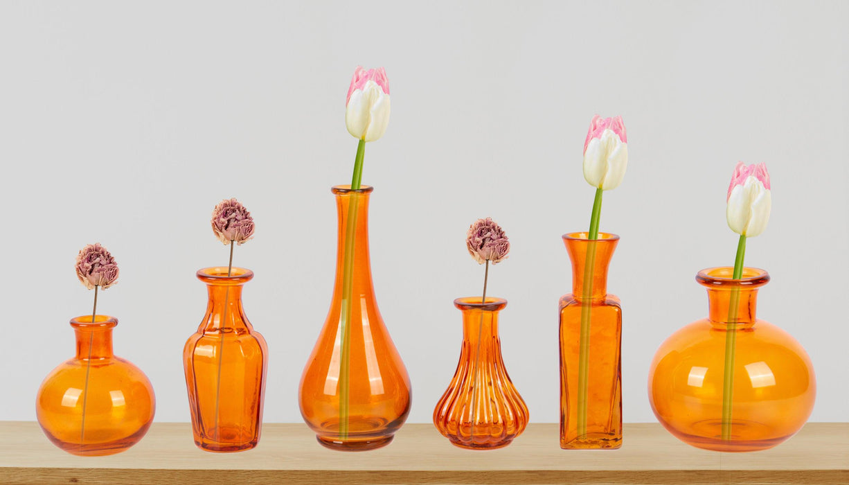 Set of 6 Vintage Glass Flower Bud Vases-Set of 6-Koyal Wholesale-Berry-