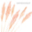 Set of 96 Wholesale Pampas Grass Decor Plumes-Set of 96-Koyal Wholesale-Natural-28-32"-