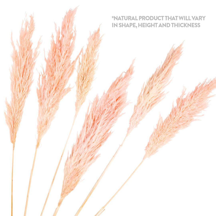 Set of 96 Wholesale Pampas Grass Decor Plumes-Set of 96-Koyal Wholesale-Natural-28-32"-