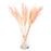 Set of 96 Wholesale Pampas Grass Decor Plumes-Set of 96-Koyal Wholesale-Natural-28-32"-
